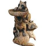 Bird Feeder Raccoon pictures Bird Feeder Raccoon pictures