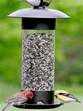 Bird Feeder Easy Clean pictures