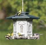 pictures of Bird Feeder Wren pictures of Bird Feeder Wren