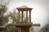Bird Feeder Ky photos Bird Feeder Ky photos