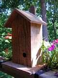 Bird Feeder Wren photos Bird Feeder Wren photos