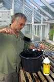 Bird Feeder Disinfectant pictures Bird Feeder Disinfectant pictures