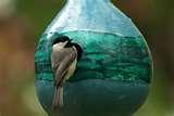 pictures of Bird Feeders Out Of Gourds