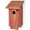 Bird Feeders Lowes photos Bird Feeders Lowes photos