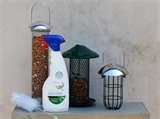 Bird Feeder Disinfectant Bird Feeder Disinfectant