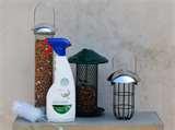 Bird Feeder Disinfectant