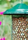 Bird Feeder Disinfectant