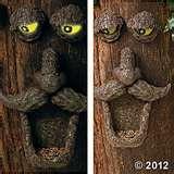 Bird Feeder Tree Face images