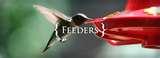 photos of Humming Bird Feeders Accessories photos of Humming Bird Feeders Accessories
