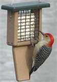 Bird Feeders Are Messy photos Bird Feeders Are Messy photos