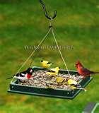 pictures of Bird Feeder Where pictures of Bird Feeder Where