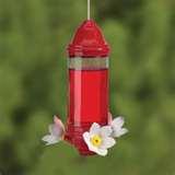 images of Humming Bird Feeders Location images of Humming Bird Feeders Location