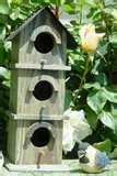 images of Bird Feeders Are Messy