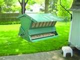 Bird Feeders Law images Bird Feeders Law images