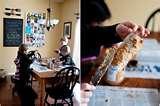 Bird Feeders Are Messy photos Bird Feeders Are Messy photos