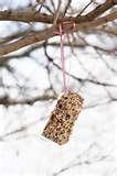 Bird Feeders Are Messy Bird Feeders Are Messy