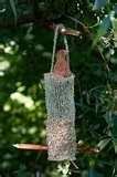 Bird Feeder Silver pictures