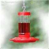 Humming Bird Feeders Accessories pictures