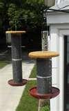 photos of Bird Feeders Law photos of Bird Feeders Law