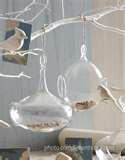 Roost Utopia Bird Feeders images