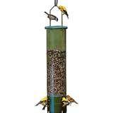 Bird Feeder Mt images