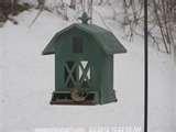 pictures of Bird Feeder Mt