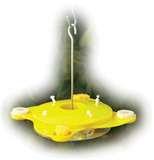 pictures of Bird Feeders Law pictures of Bird Feeders Law
