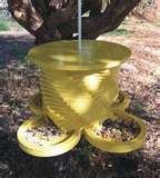 photos of Bird Feeders Engraved photos of Bird Feeders Engraved