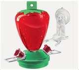 Humming Bird Feeders Location images Humming Bird Feeders Location images