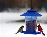 Humming Bird Feeders Accessories images