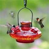 Humming Bird Feeders Accessories images