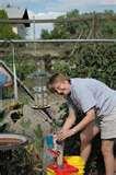 Fence Bird Feeders Fence Bird Feeders