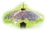 Bird Feeder Weather Shield images Bird Feeder Weather Shield images