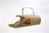 Wild Bird Feeders Bird Feeders pictures Wild Bird Feeders Bird Feeders pictures