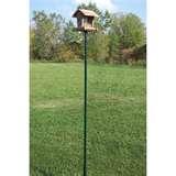 Bird Feeder Support Poles pictures