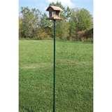 photos of Bird Feeder Funny Video photos of Bird Feeder Funny Video