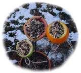 Fence Bird Feeders Fence Bird Feeders