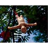 images of Bird Feeder Funny Video images of Bird Feeder Funny Video