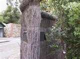 photos of Fence Bird Feeders photos of Fence Bird Feeders