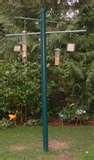 Bird Feeder Funny Video Bird Feeder Funny Video