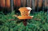 Bird Feeder Projects pictures