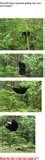 Bird Feeder Funny Video Bird Feeder Funny Video