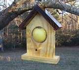 Bird Feeders Live Bird Feeders Live