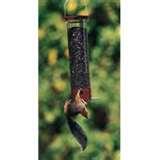 Bird Feeder 5000 images Bird Feeder 5000 images