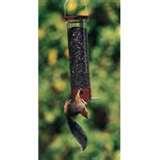 Bird Feeder 5000 images