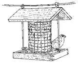 pictures of Homemade Bird Feeders Bird Feeder Plans