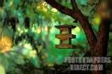 pictures of Bird Feeder 5000 pictures of Bird Feeder 5000