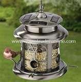 images of Bird Feeders Warblers images of Bird Feeders Warblers