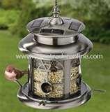 images of Bird Feeders Warblers