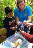 Bird Feeder Making pictures